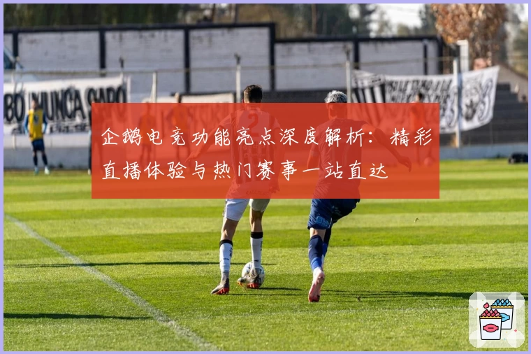 企鹅电竞功能亮点深度解析：精彩直播体验与热门赛事一站直达