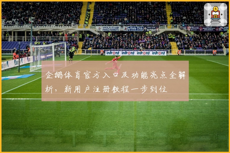 企鹅体育官方入口及功能亮点全解析，新用户注册教程一步到位