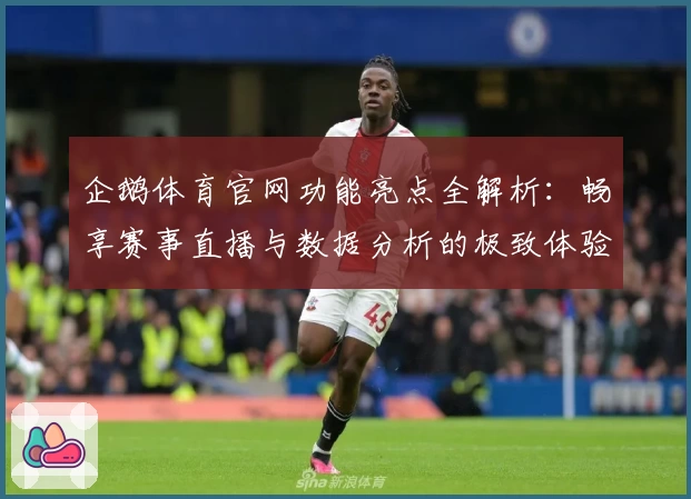 企鹅体育官网功能亮点全解析：畅享赛事直播与数据分析的极致体验