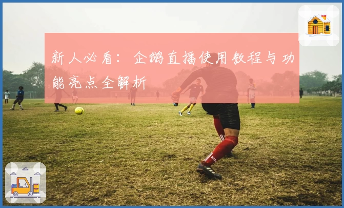 新人必看：企鹅直播使用教程与功能亮点全解析