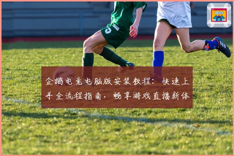 企鹅电竞电脑版安装教程：快速上手全流程指南，畅享游戏直播新体验
