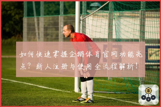 如何快速掌握企鹅体育官网功能亮点？新人注册与使用全流程解析！