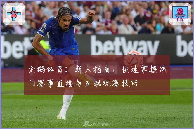 企鹅体育：新人指南，快速掌握热门赛事直播与互动观赛技巧