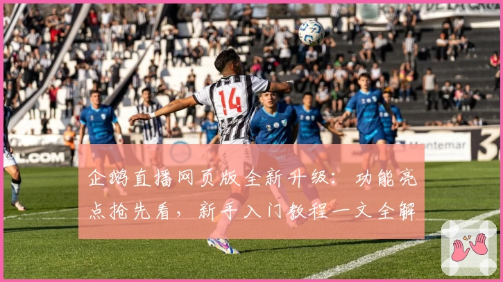 企鹅直播网页版全新升级：功能亮点抢先看，新手入门教程一文全解